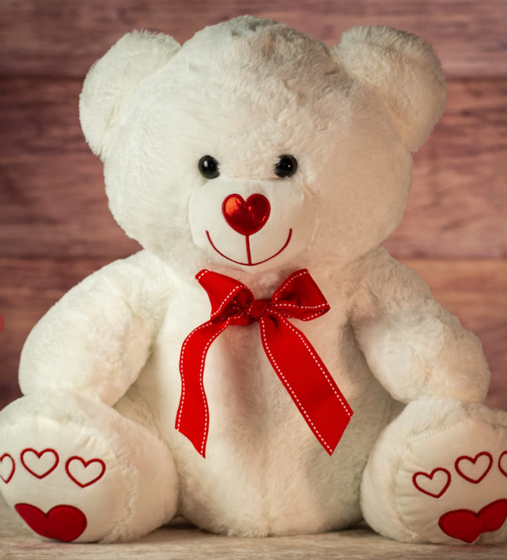 19.5" White Teddy Bear