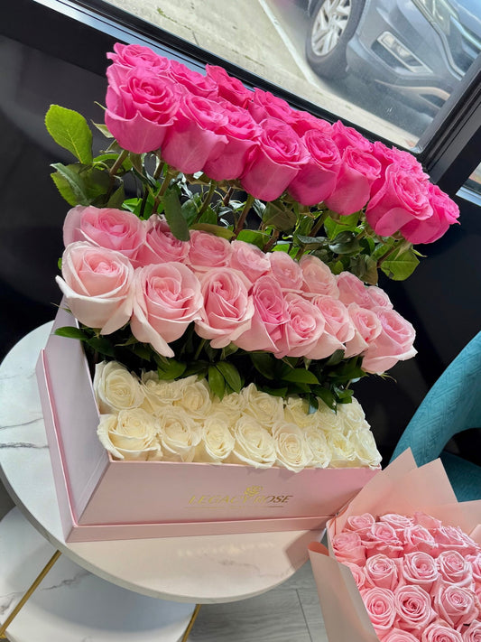 Beauty in Pastels - Legacy Rose TX