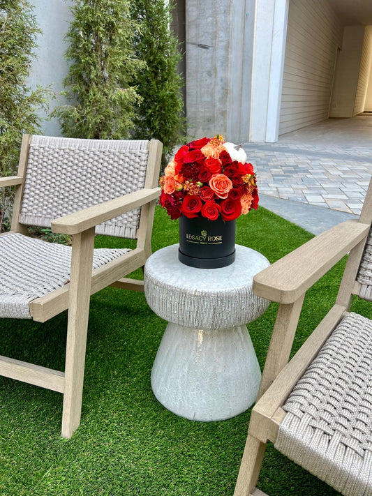 Pumpkin Spice - Legacy Rose TX