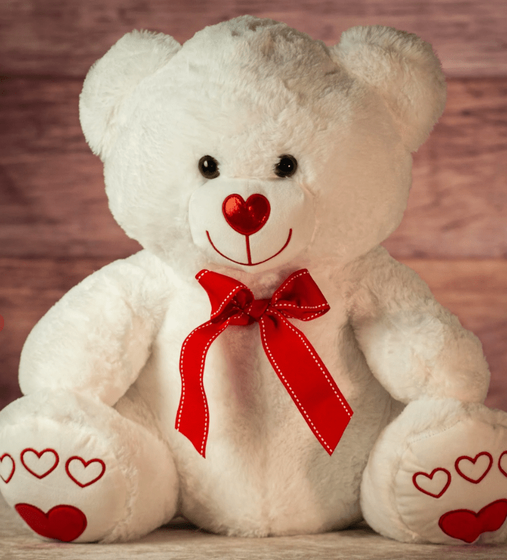 19.5" White Teddy Bear - Legacy Rose TX