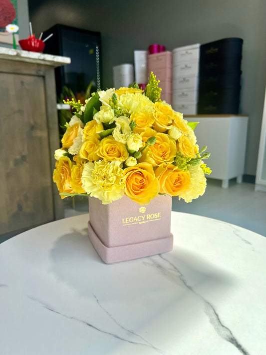 Petite in Yellow - Legacy Rose TX