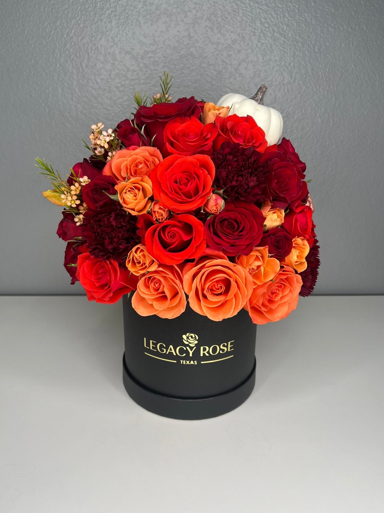 Pumpkin Spice - Legacy Rose TX