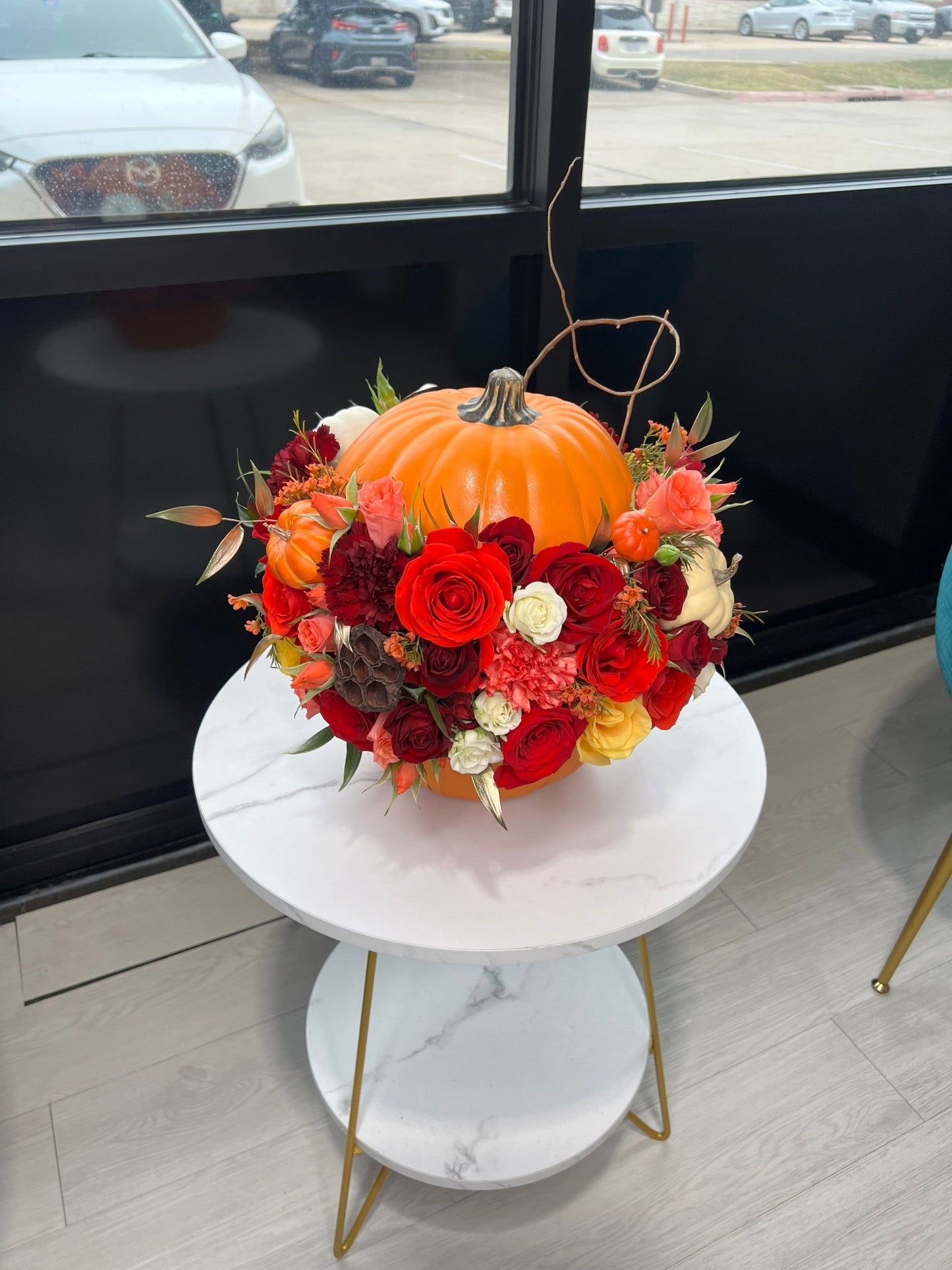 Thanksgiving Pumpkin 🍁 - Legacy Rose TX