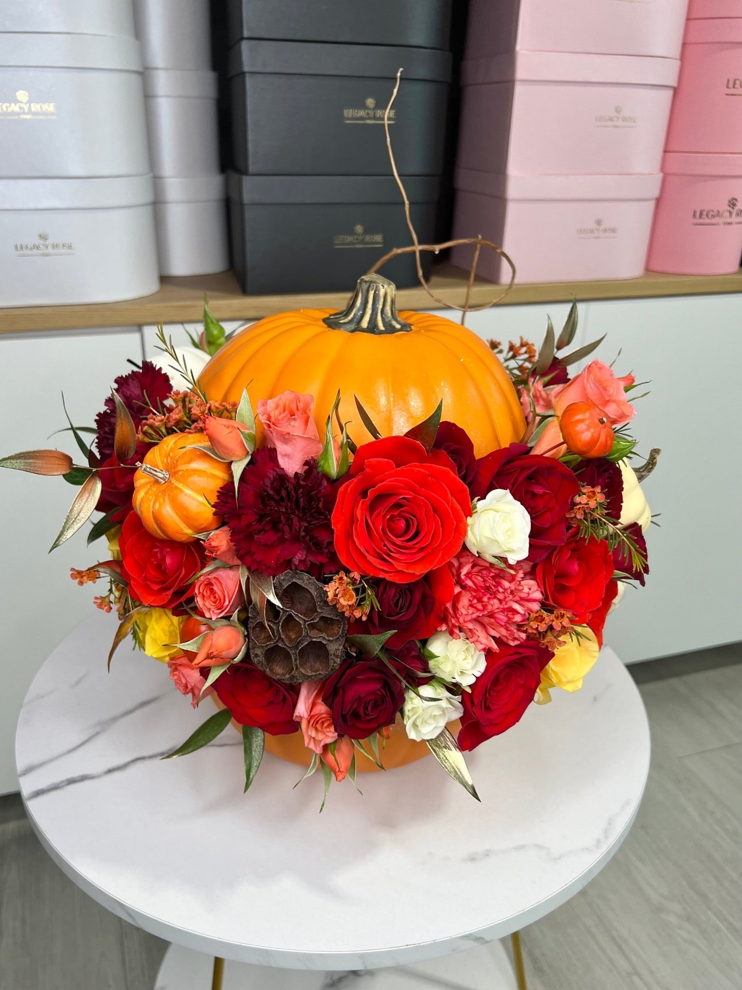 Thanksgiving Pumpkin 🍁 - Legacy Rose TX